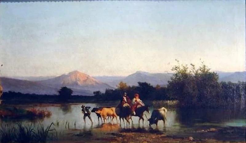 Paludi nei Dintorni di Roma